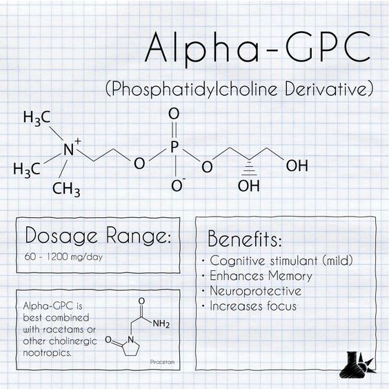 Alpha GPC Powder